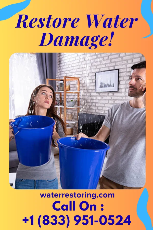 water restoration Southern Damage Restoration Solutions Breese