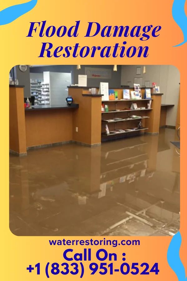 Flood Damage Restoration in Breese, IL