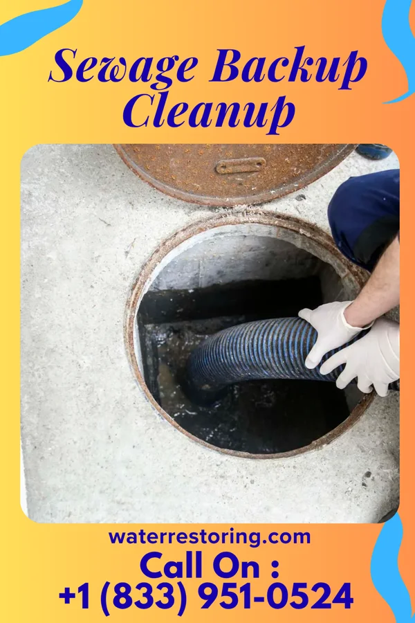 Sewage Backup Cleanup in Breese, IL