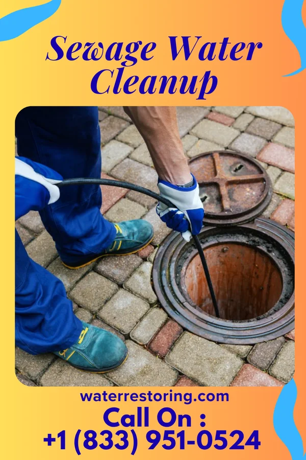 Sewage Water Cleanup in Breese, IL